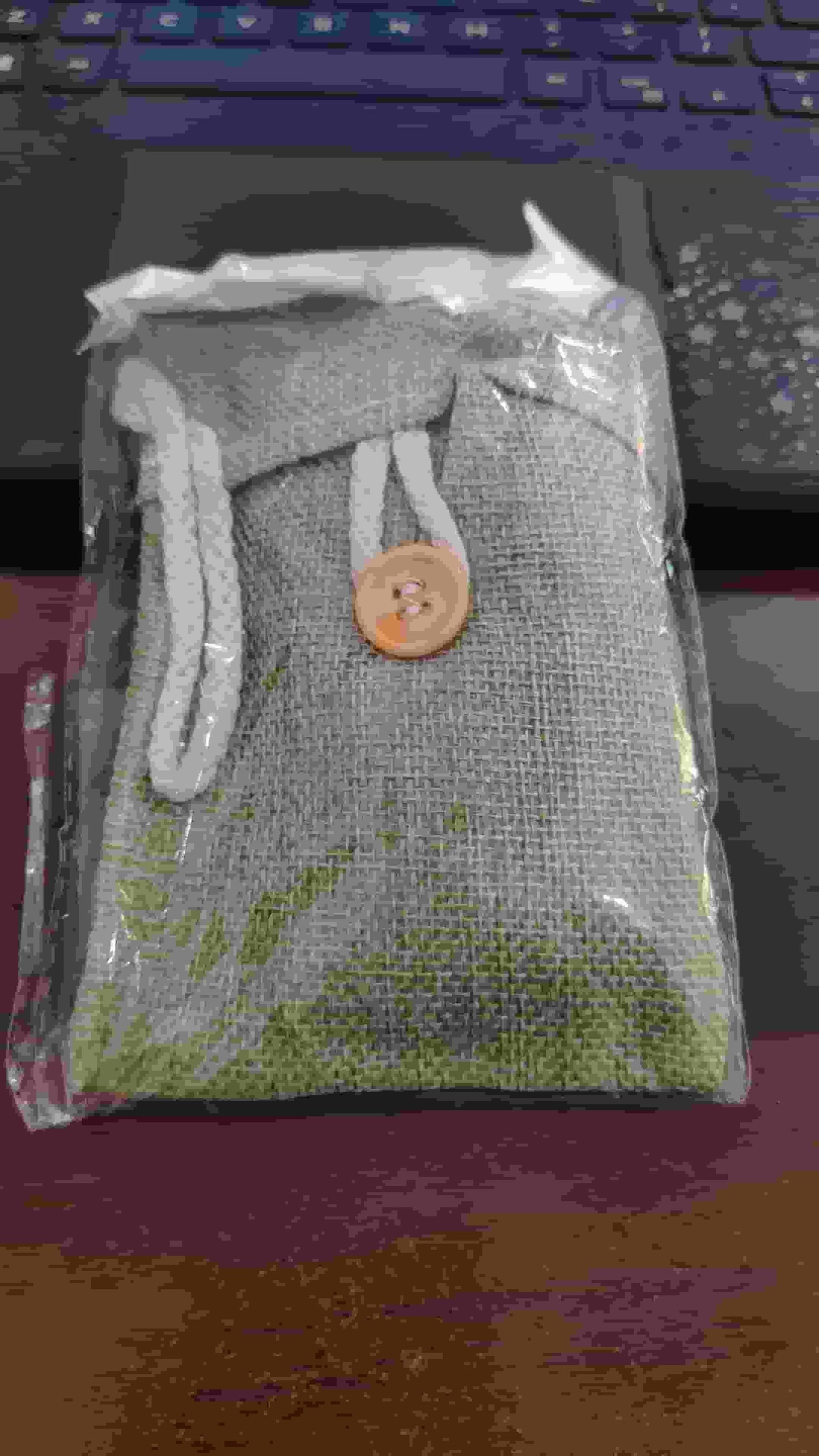 Pack of 2 Bamboo Charcoal Air Purifying Bags – Natural Car Odor Absorbers